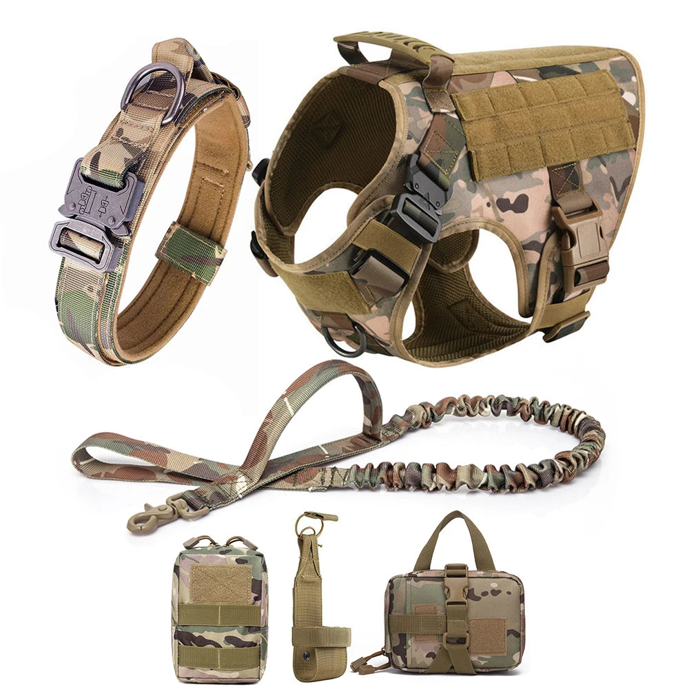 Train dora ™ COMPLETE DOG HARNESS SET