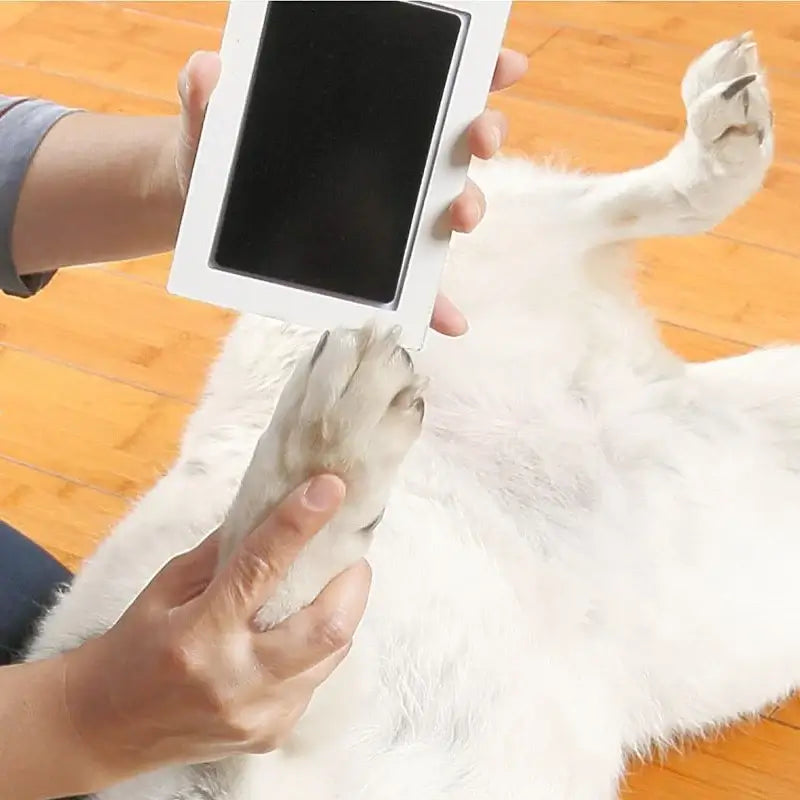 Unique Memorial Ornament – Keep Your Pet’s Paw Print Forever 🐾