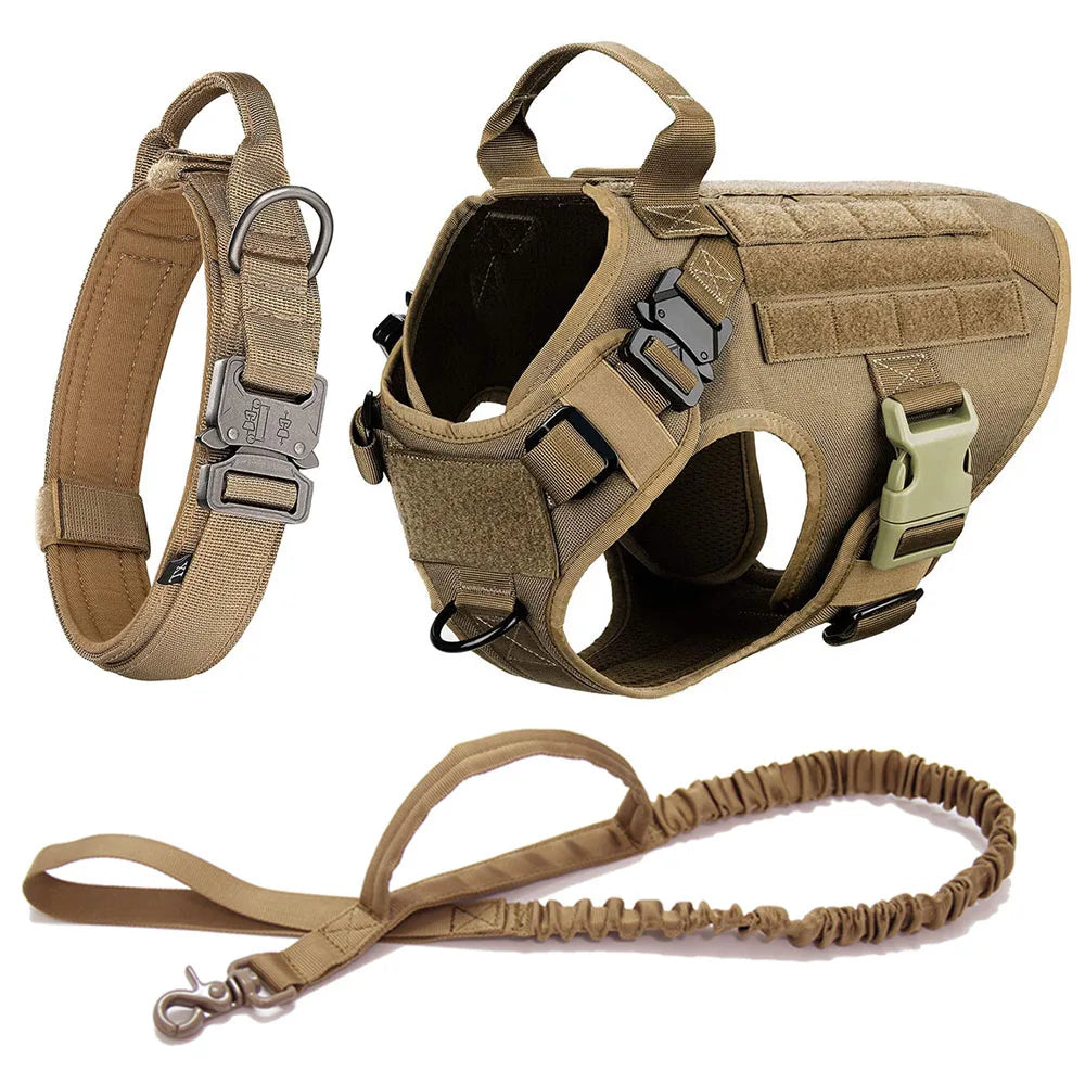 Train dora ™ COMPLETE DOG HARNESS SET
